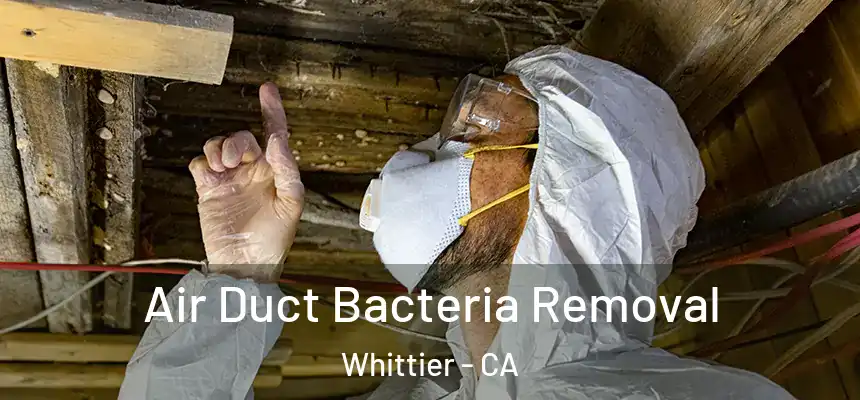  Air Duct Bacteria Removal Whittier - CA