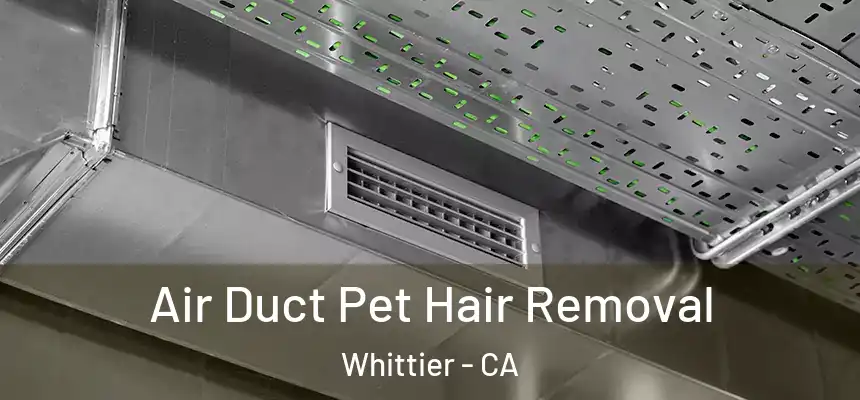  Air Duct Pet Hair Removal Whittier - CA