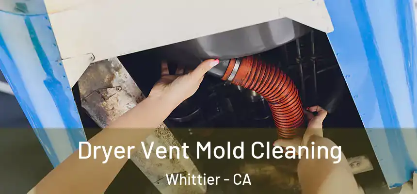  Dryer Vent Mold Cleaning Whittier - CA