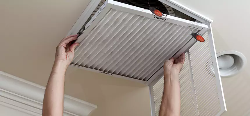 Preventive Cockroach-Proofing for Ducts in Whittier