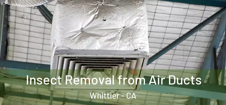  Insect Removal from Air Ducts Whittier - CA