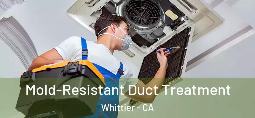  Mold-Resistant Duct Treatment Whittier - CA