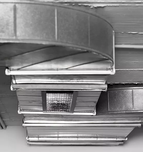 Professional Air Duct Pest Removal in Whittier, CA