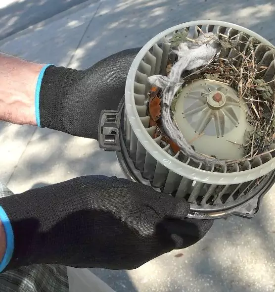 About Air Duct Rat Removal in Whittier, CA