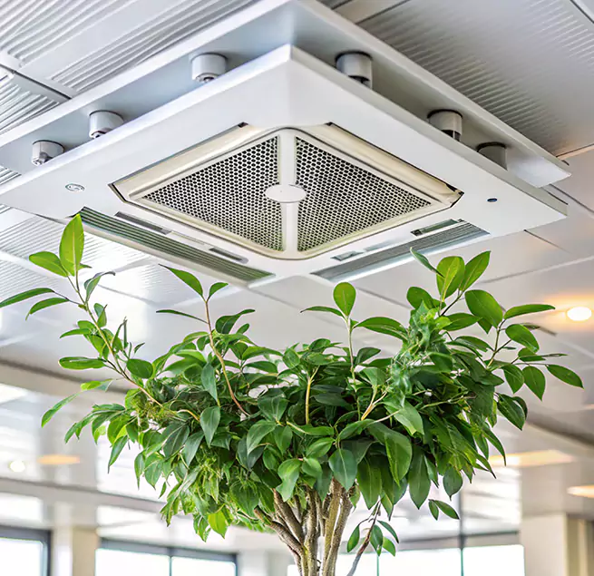 Why Homeowners & Businesses Trust Us in Whittier, CA